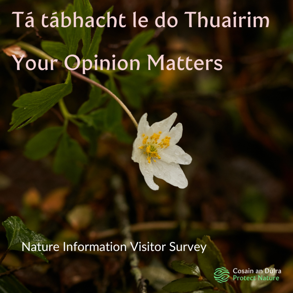 Your Opinion Matters