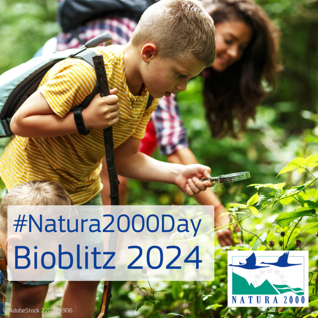 Children during Bioblitz event