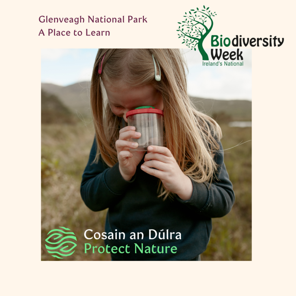 Glenveagh National Park - A Place to Learn