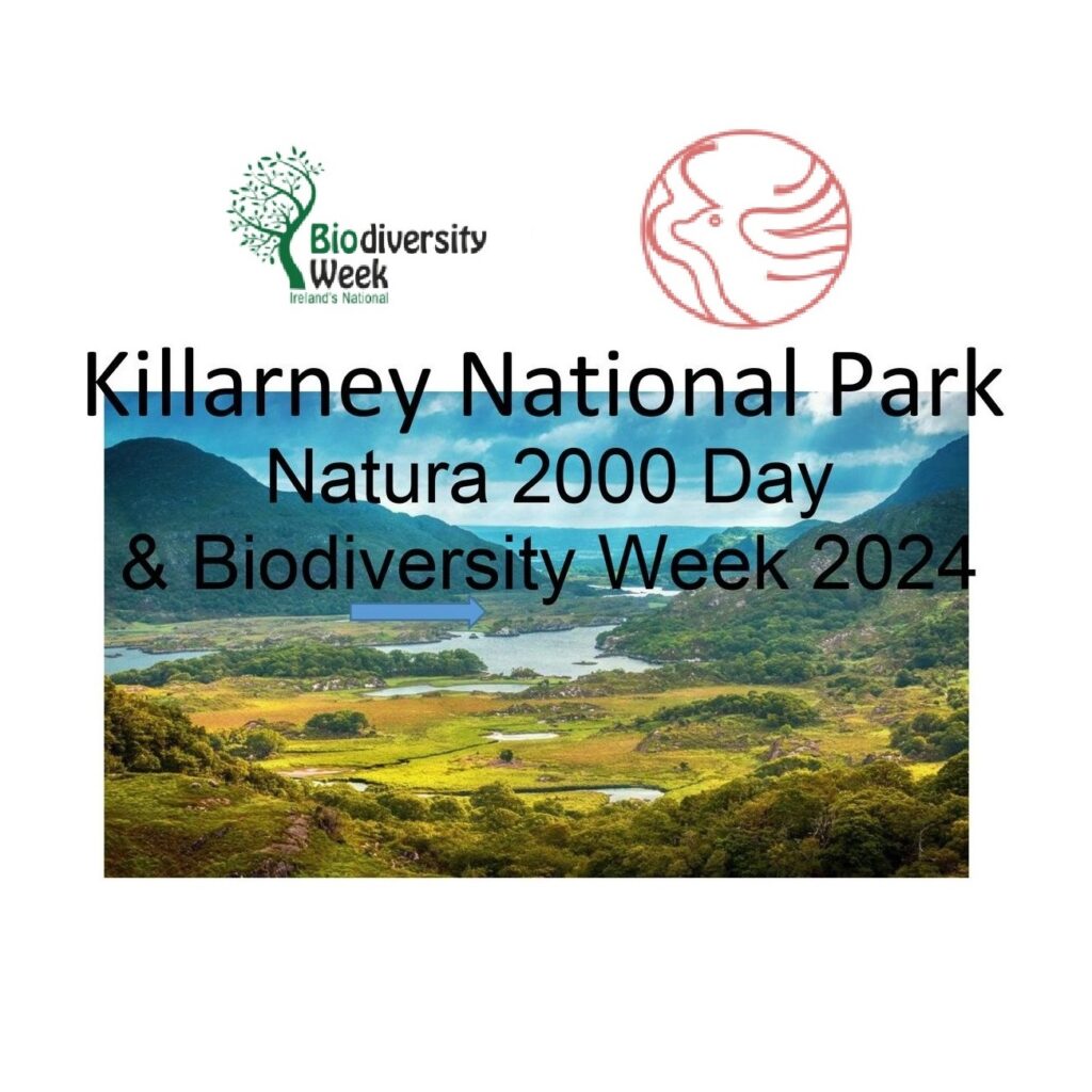 Biodiversity Week at Killarney 2024