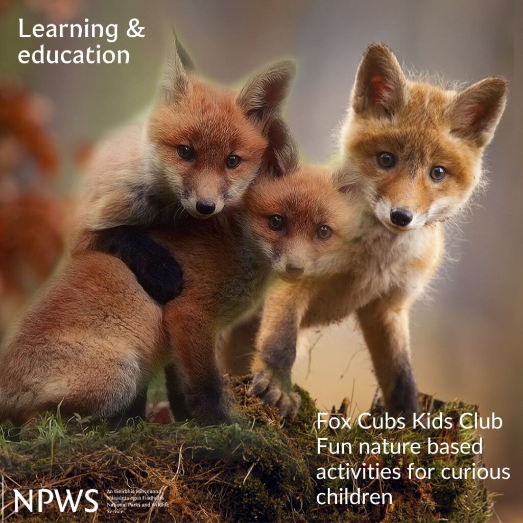 Learning and Education - Fox Cubs Kids Club