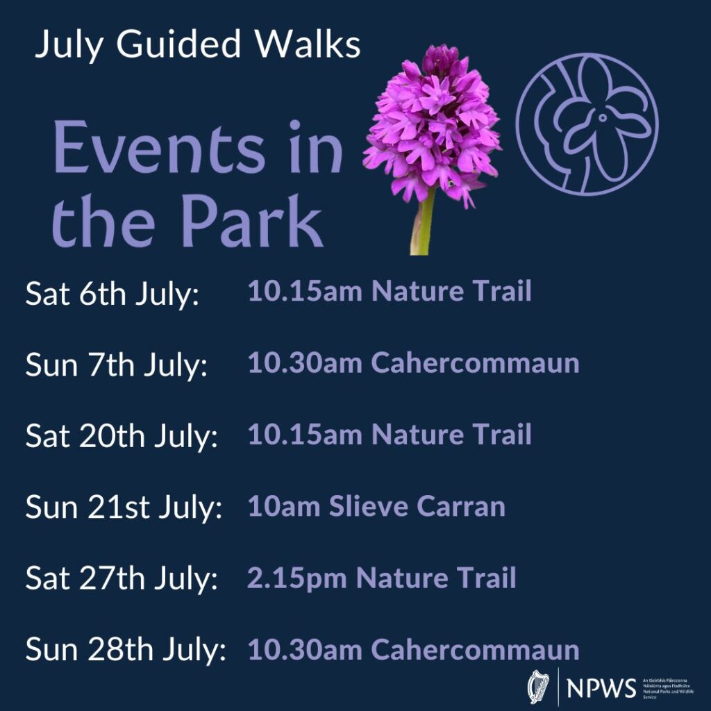 Events in the Park - July 2024