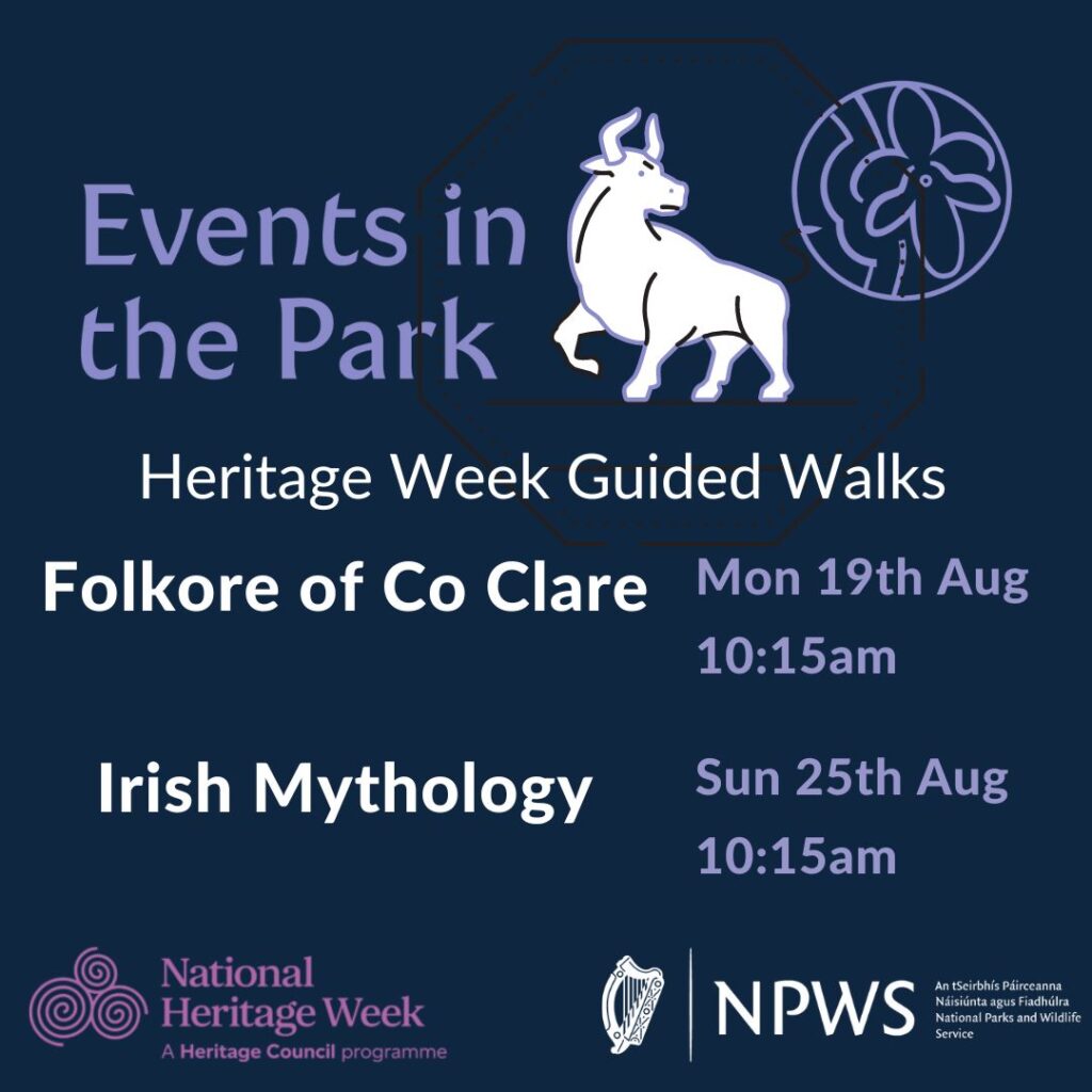Events in the Park - Heritage Week 2024