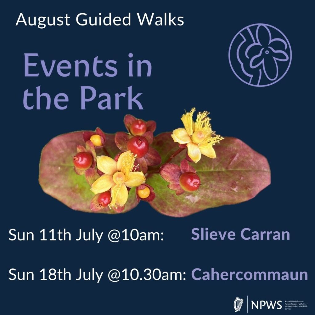 Events in the Park - July 2024