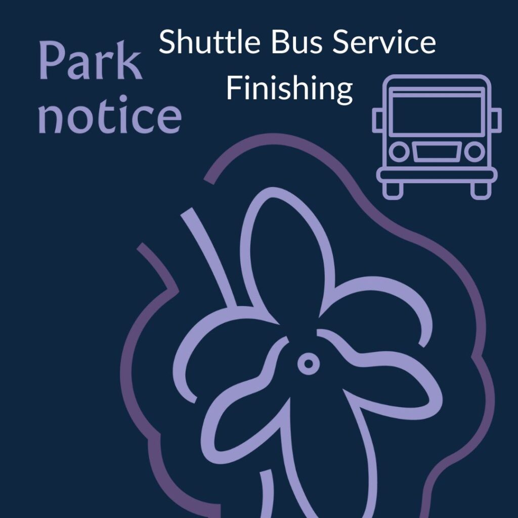 Shuttle Bus Finishing