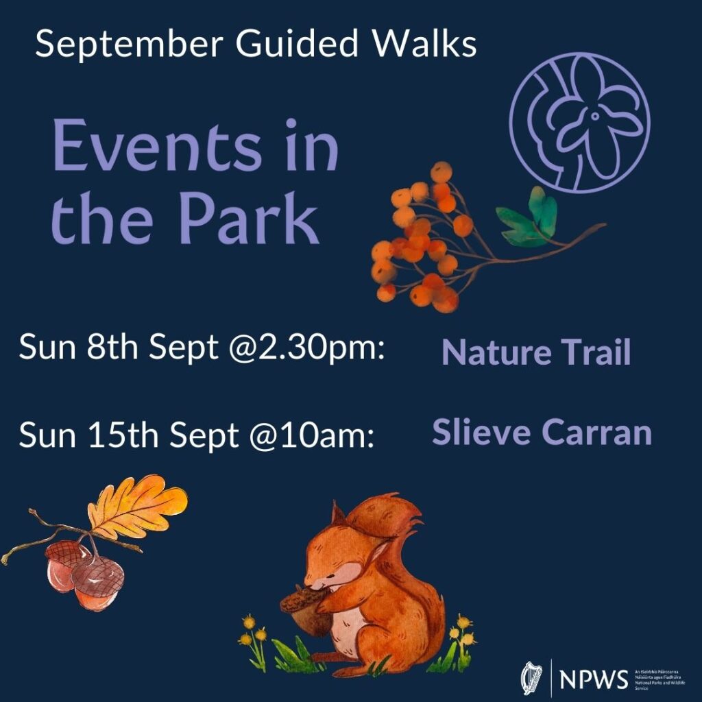 Events in the Park - September 2024