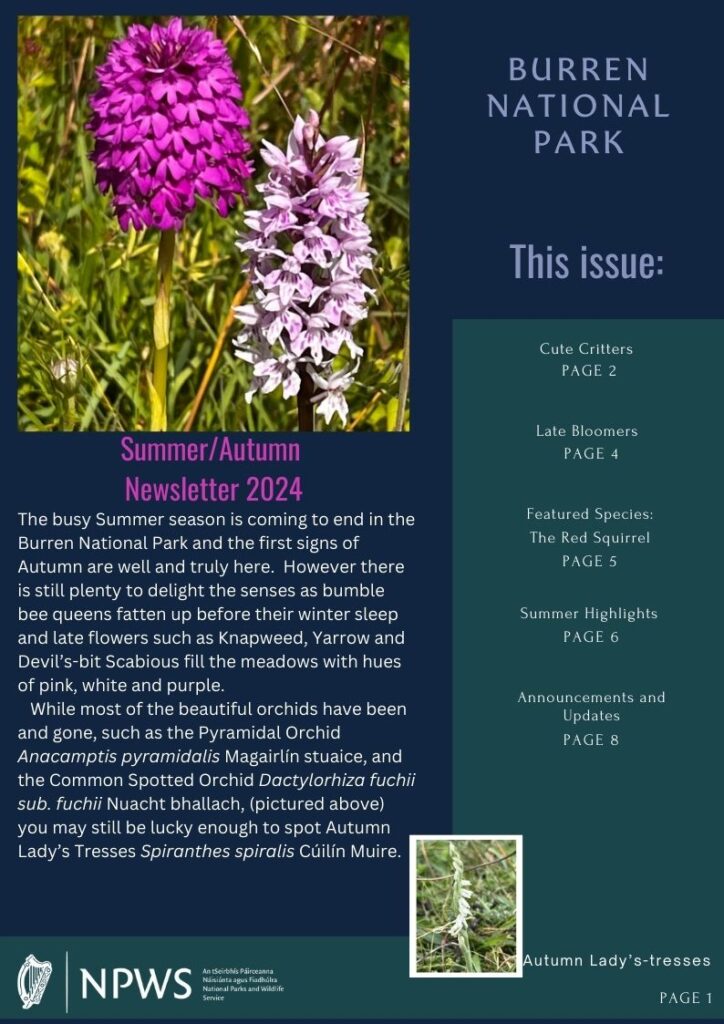 Burren National Park Newsletter