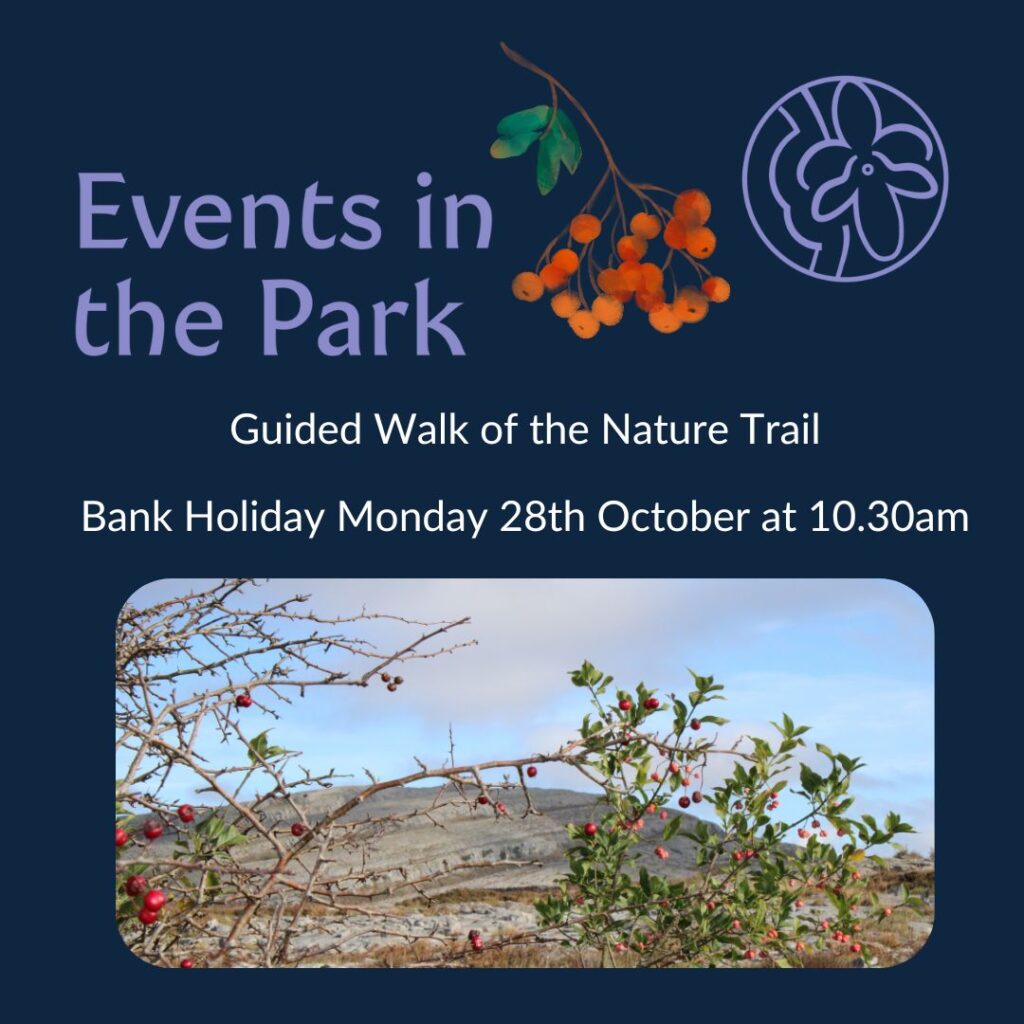 Events in the Park - 28 October 2025