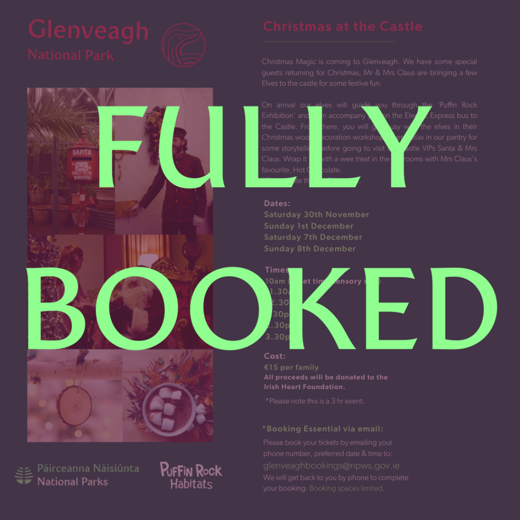 Christmas 2024 at the Castle - Fully Booked