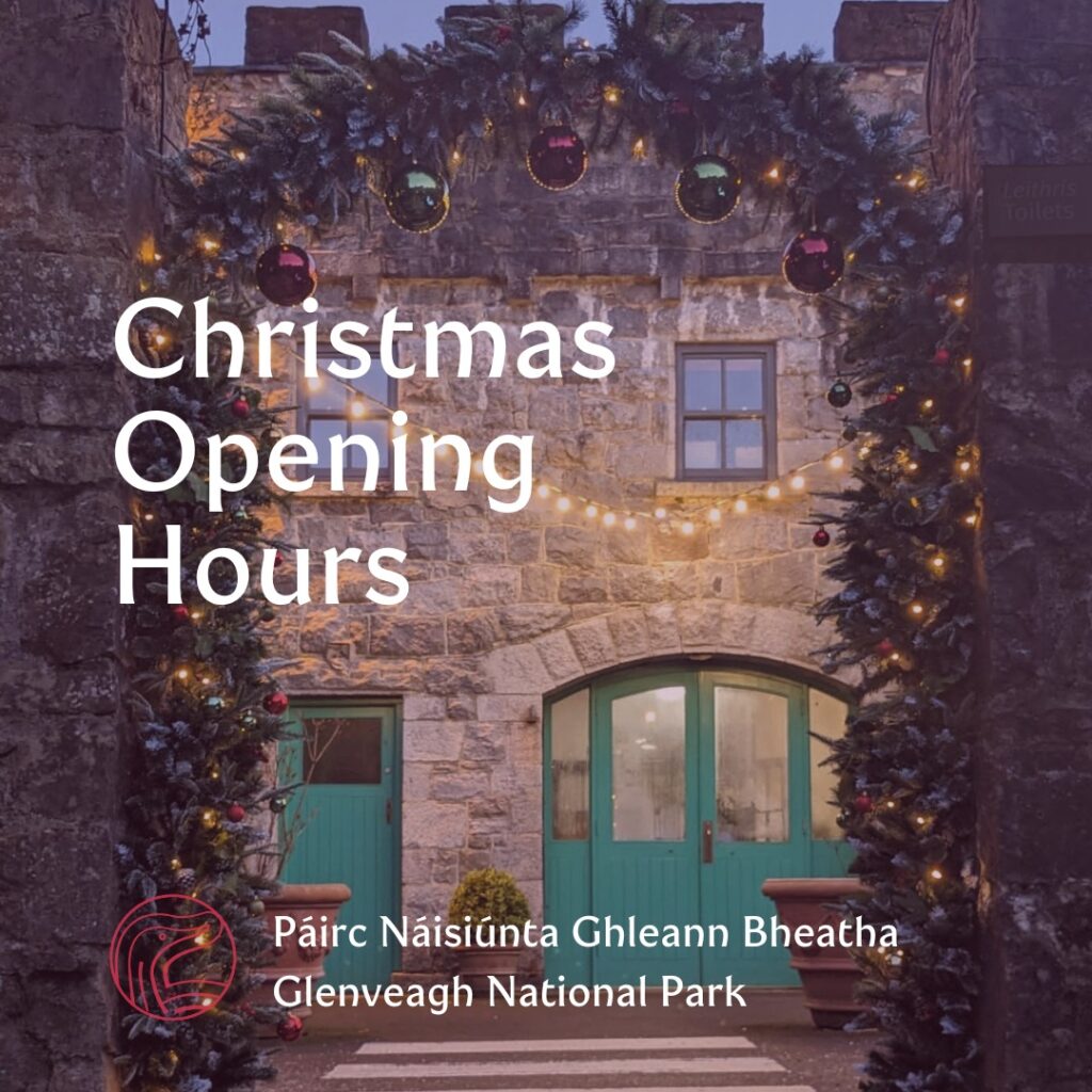 Christmas Opening Hours