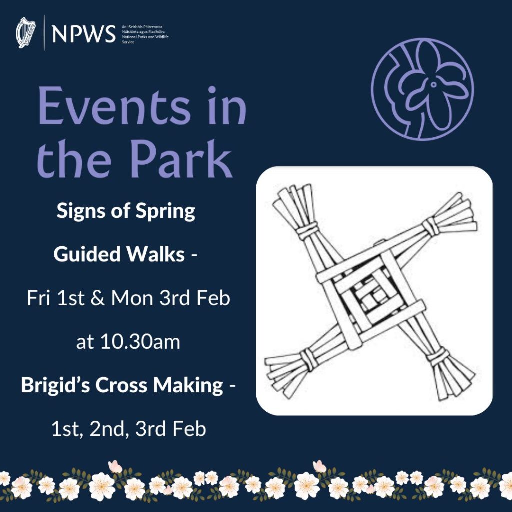 Events in the Park - St Brigid's Day