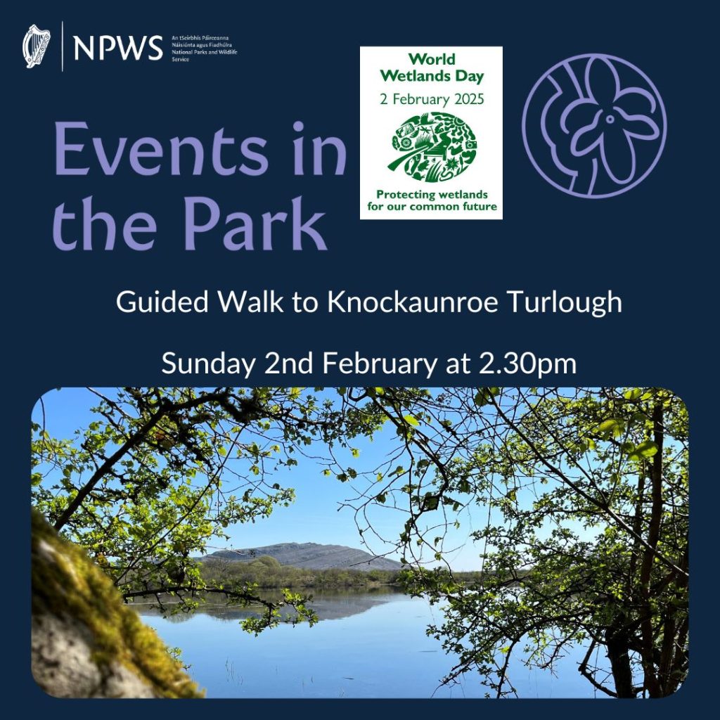 Events in the Park - World Wetlands Day