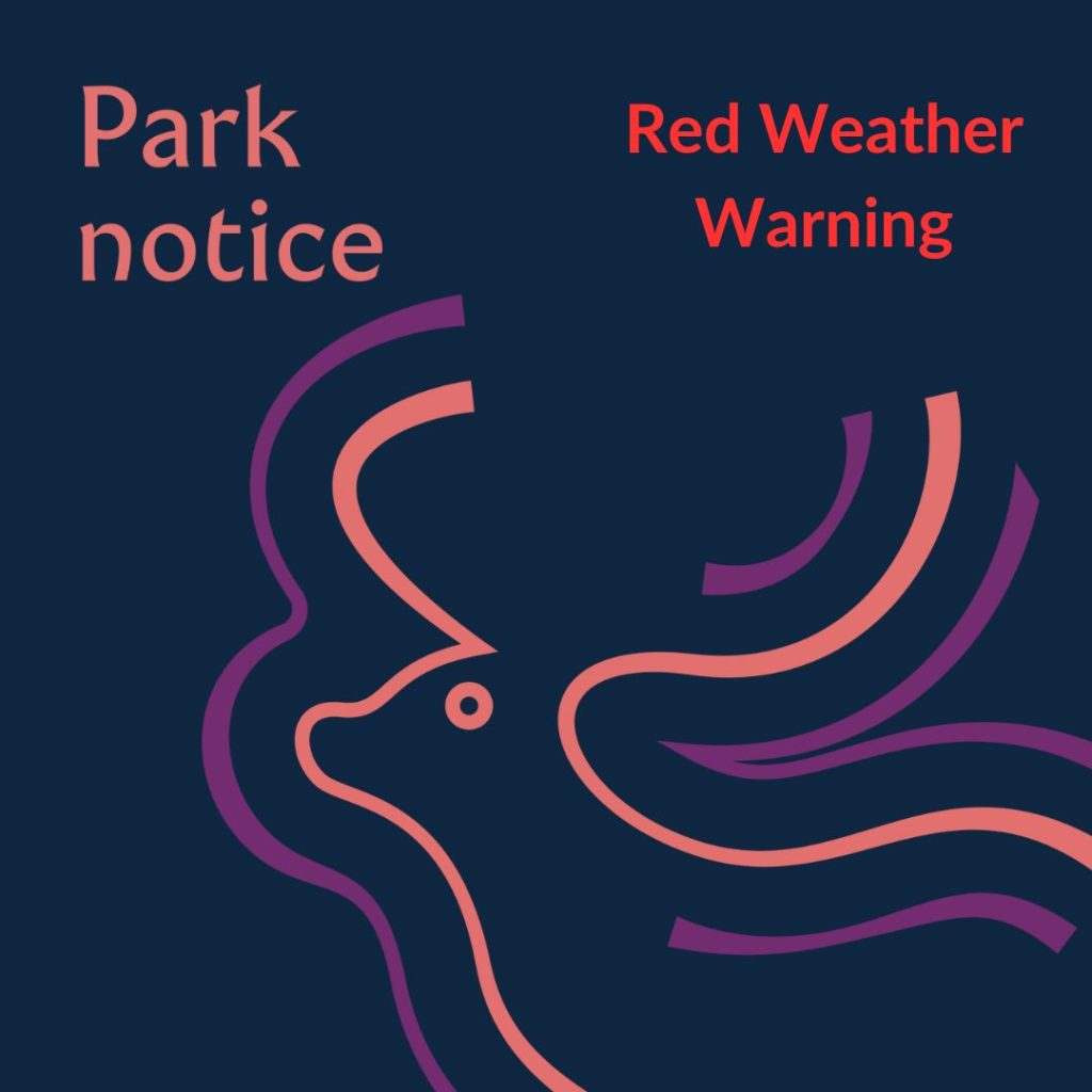 Red Weather Warning