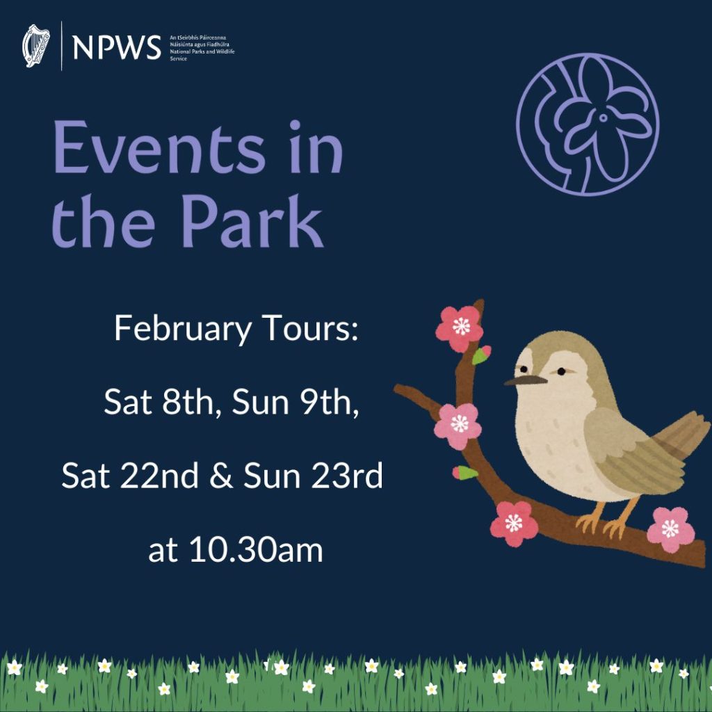 February Events Poster