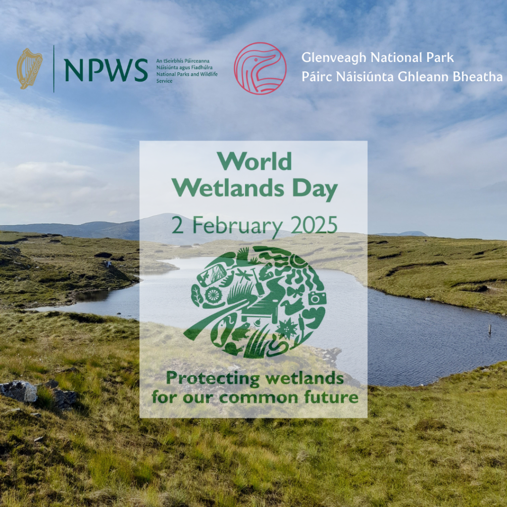 World Wetlands Day - 2 February 2025
