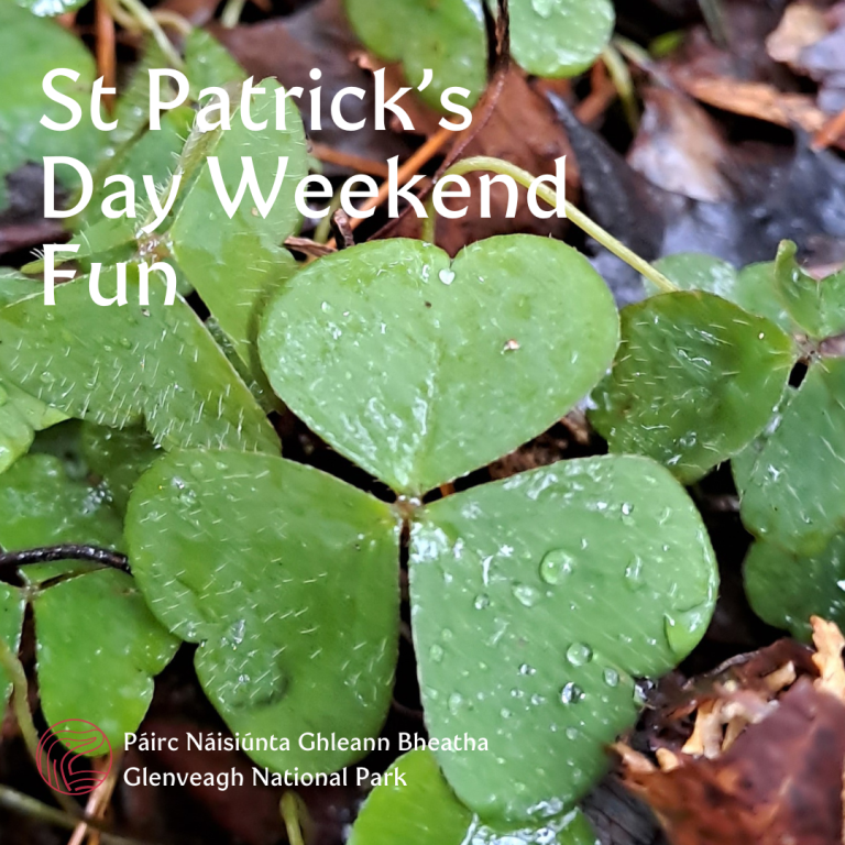 St patrick's Weekend - Glenveagh
