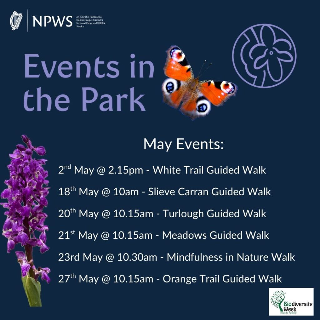 May Events