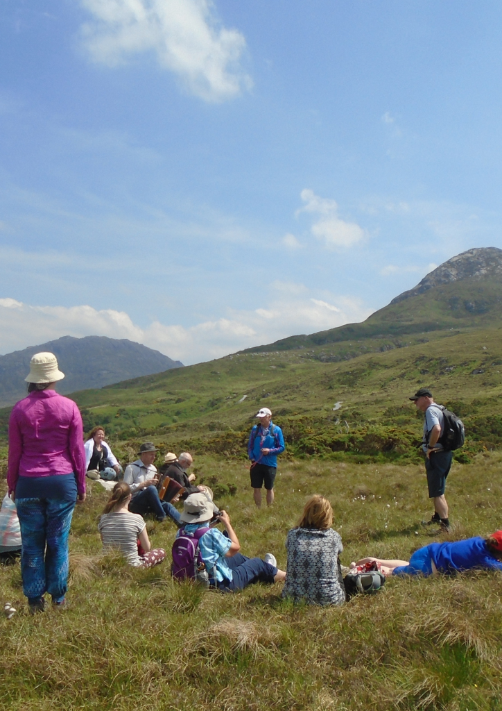 People Celebrating our Bogs through guided walks