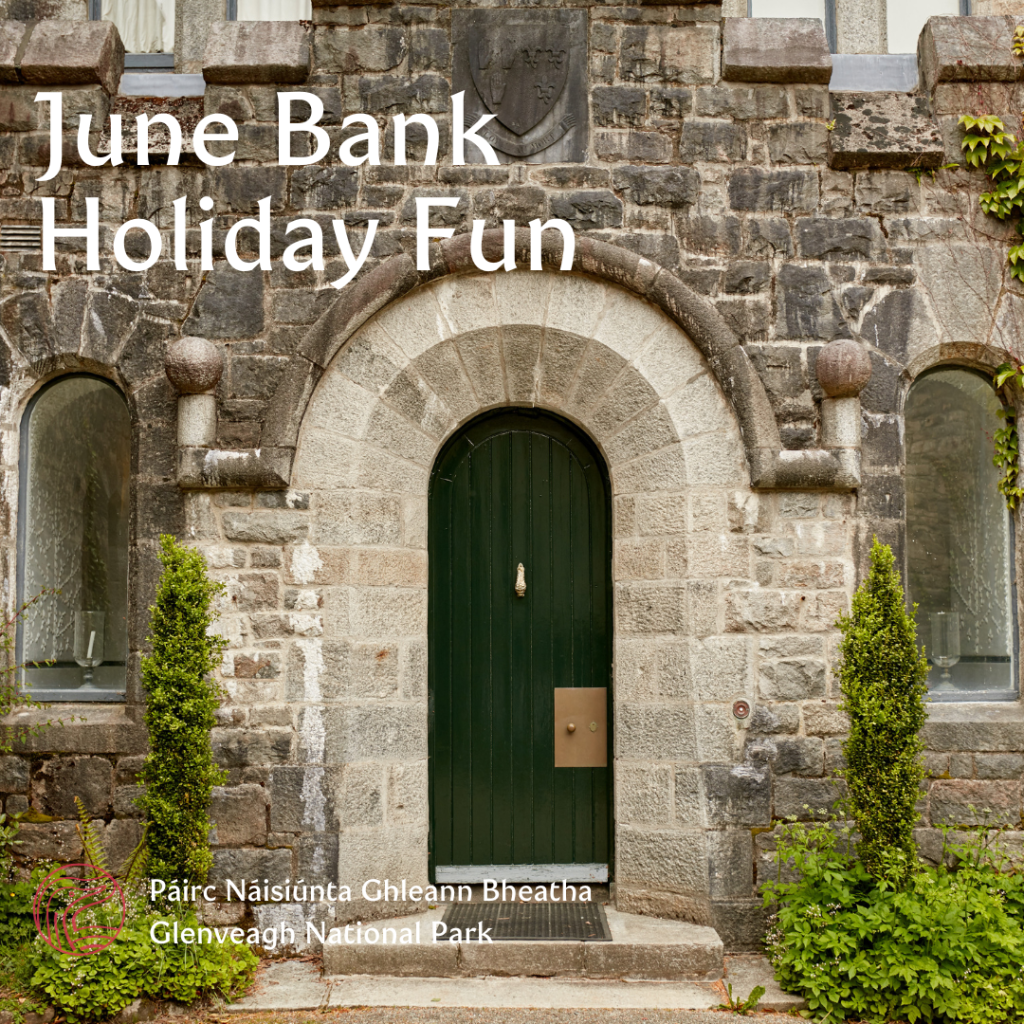 June Bank Holiday Fun