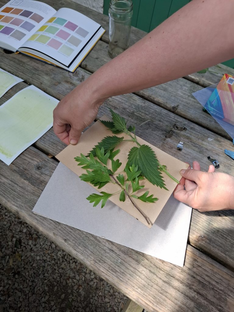 Adults Art Workshop