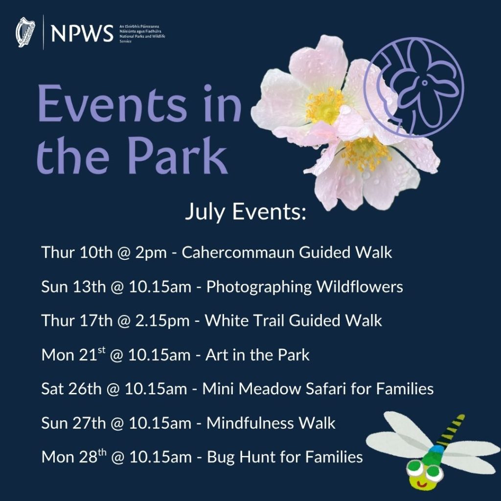 July 2025 - Events in the Park Flyer