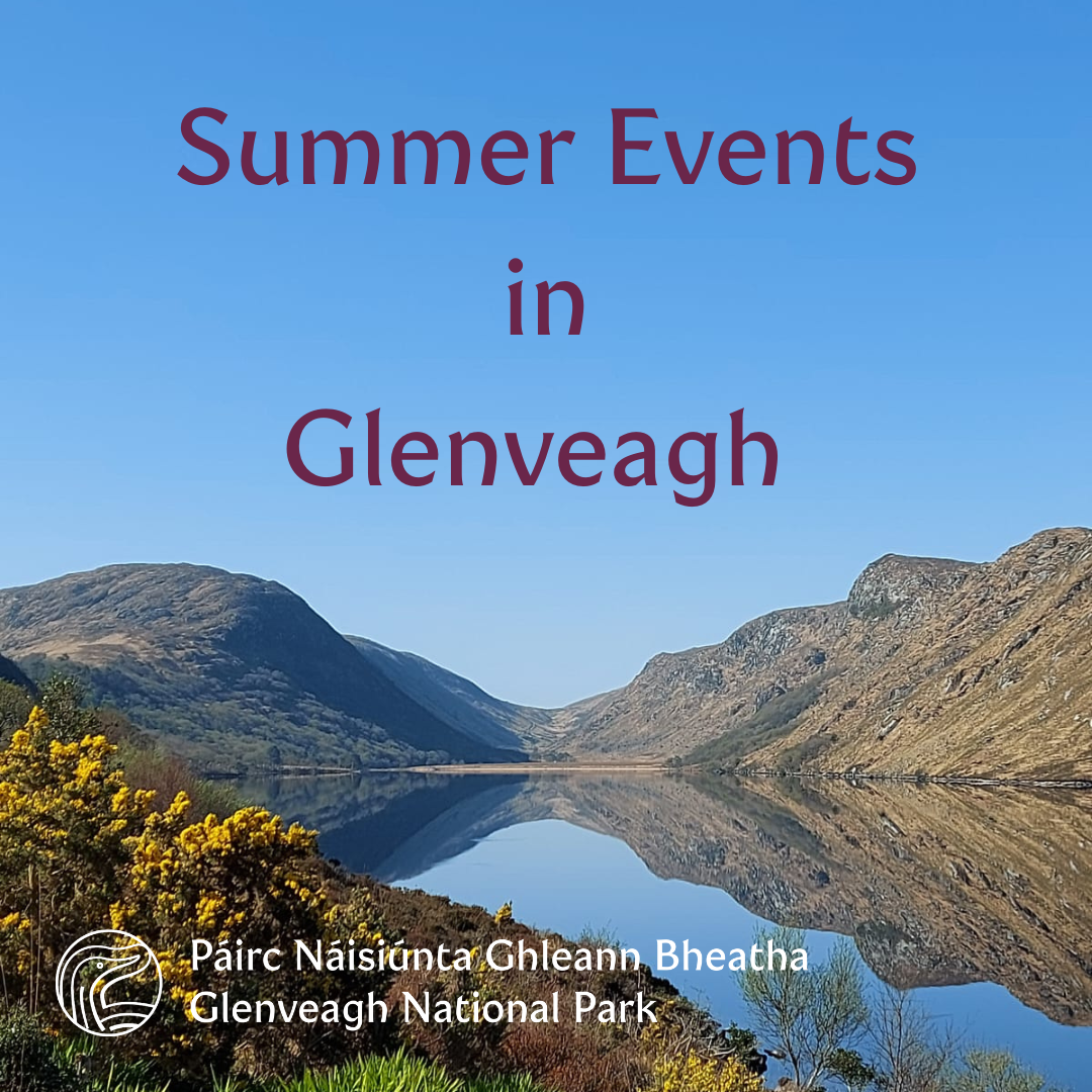 Summer Events