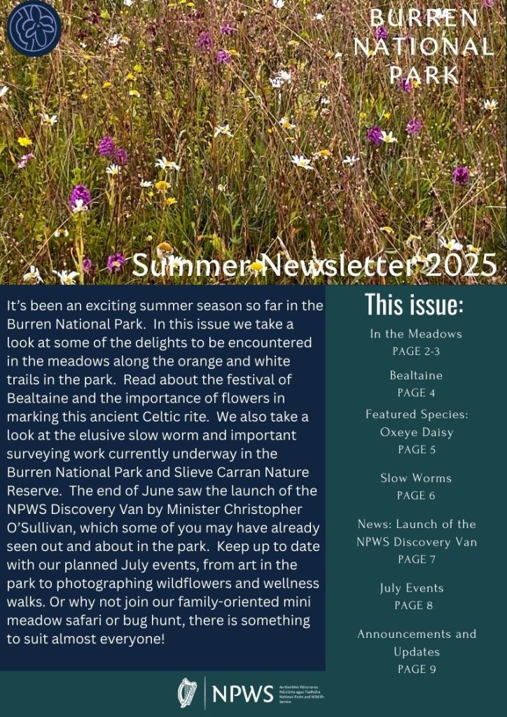 Summer Newsletter 2025