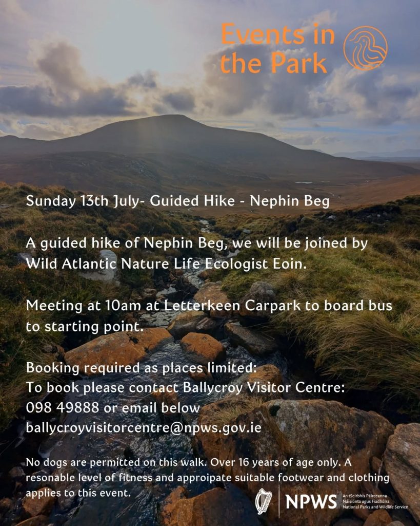 Events in the Park - July 2025 Flyer