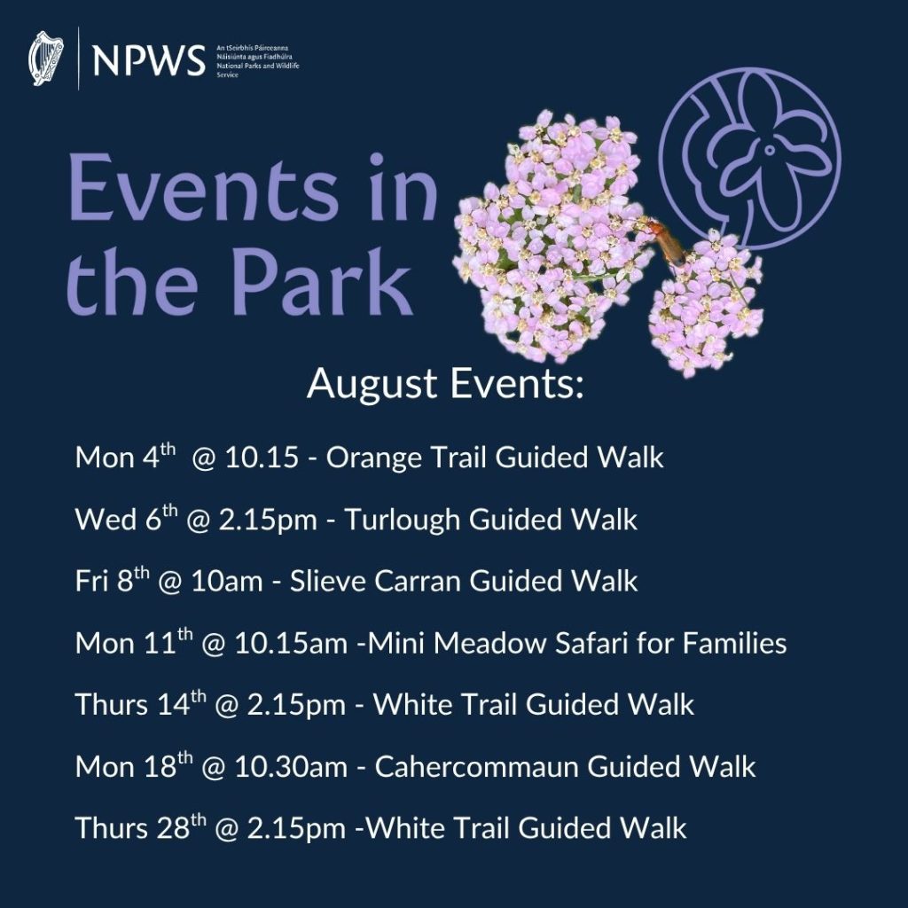 August 2025 - Events in the Park