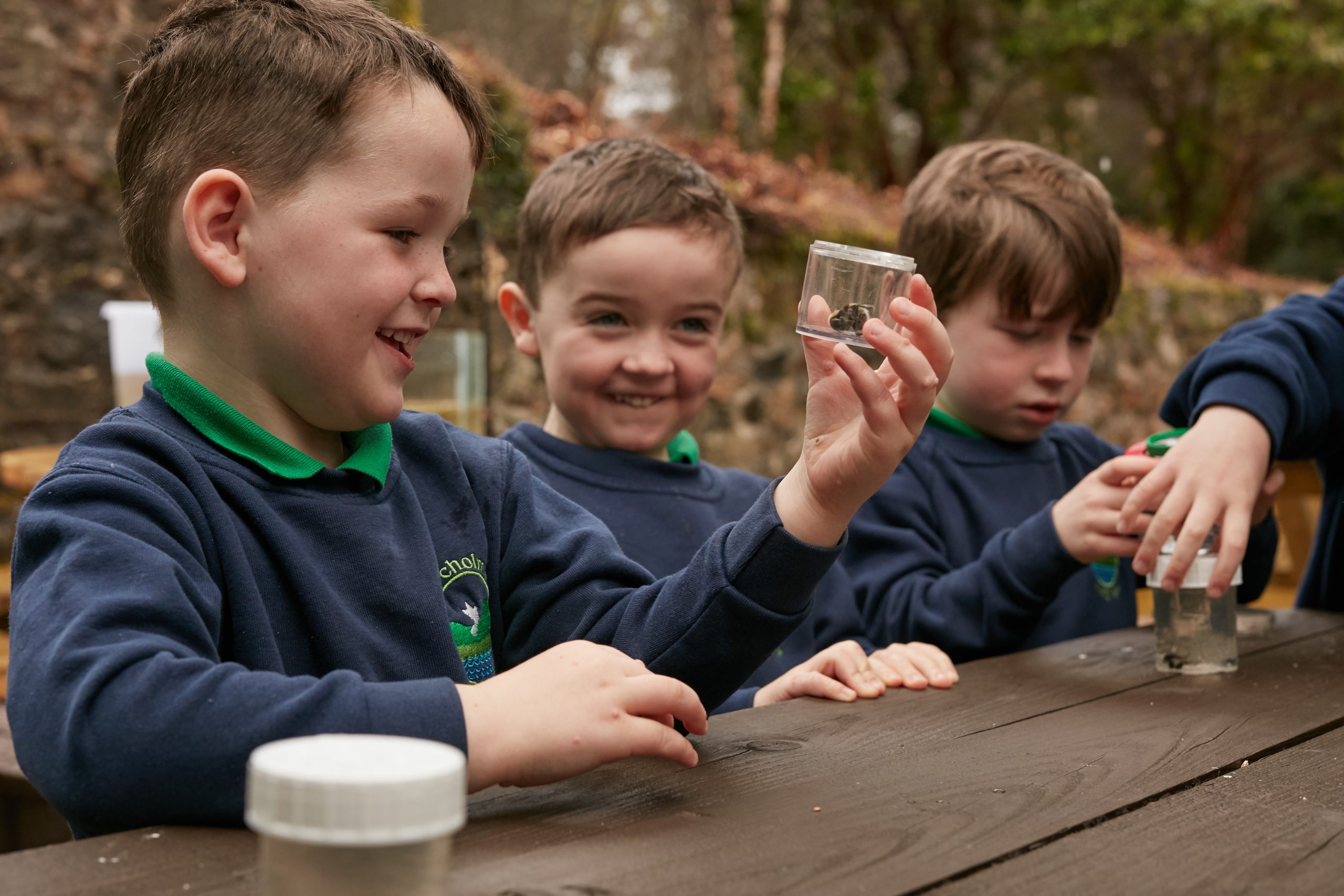Children studying insect life