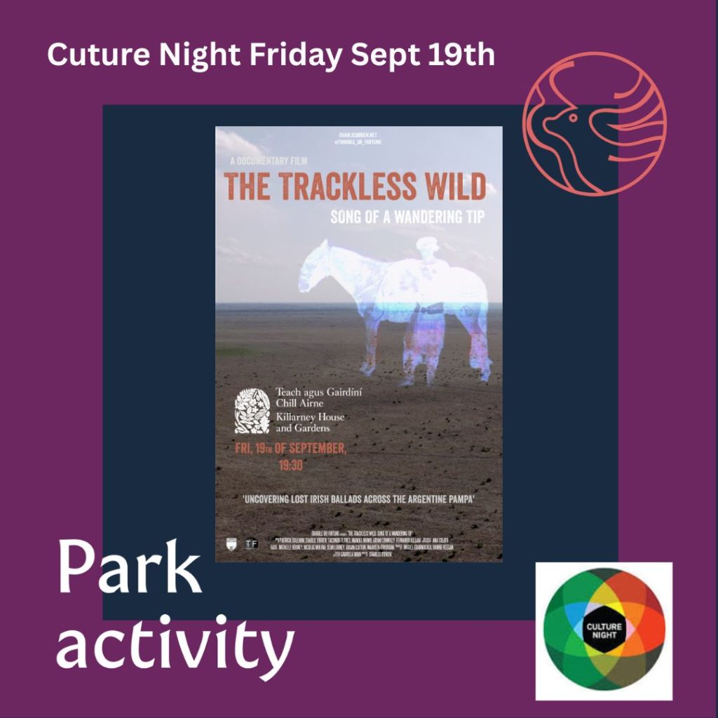 Culture Night Flyer - Friday 19 September