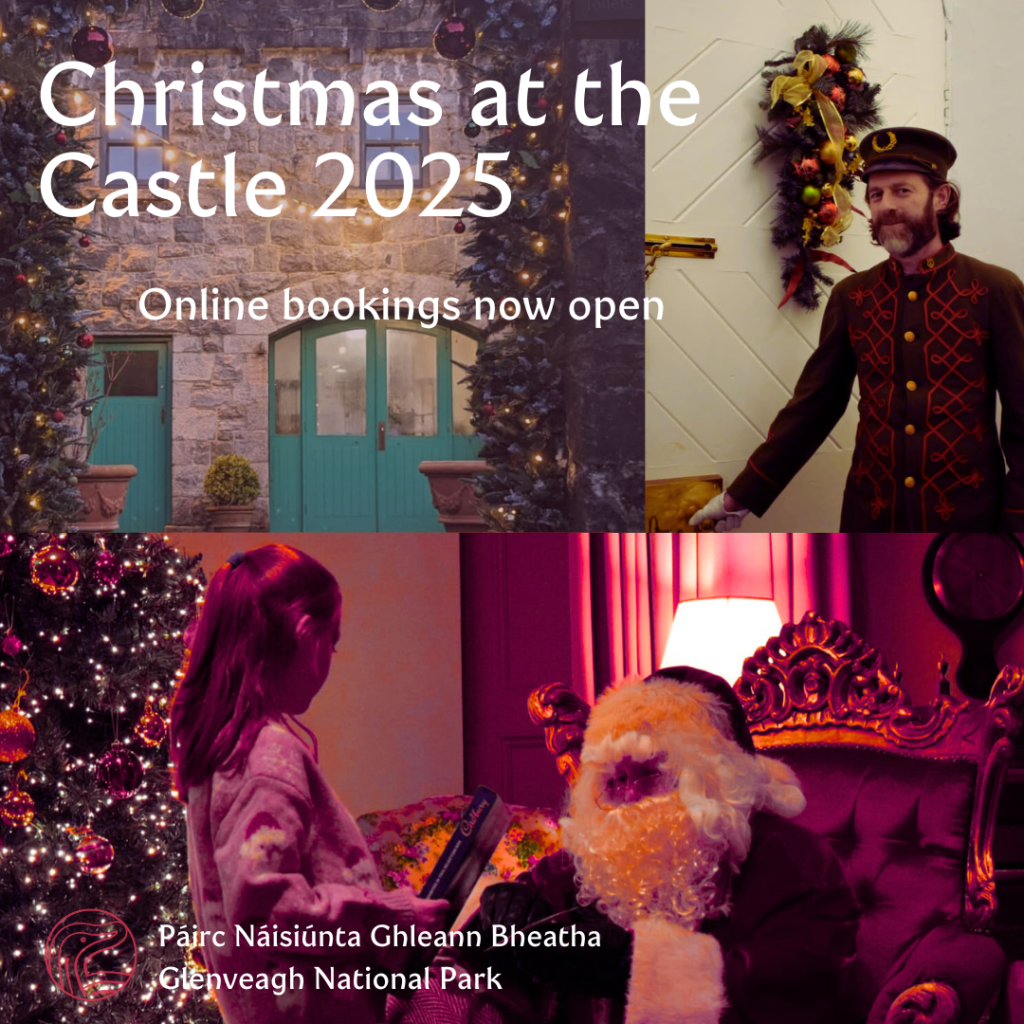 Christmas at the Castle 2025 - Online bookings now open