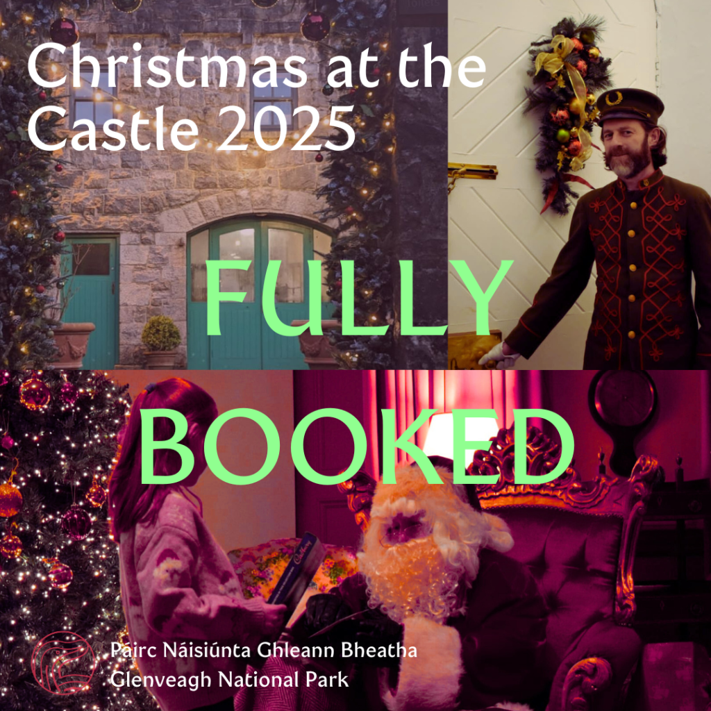 Christmas at the Castle 2025 - Fully Booked