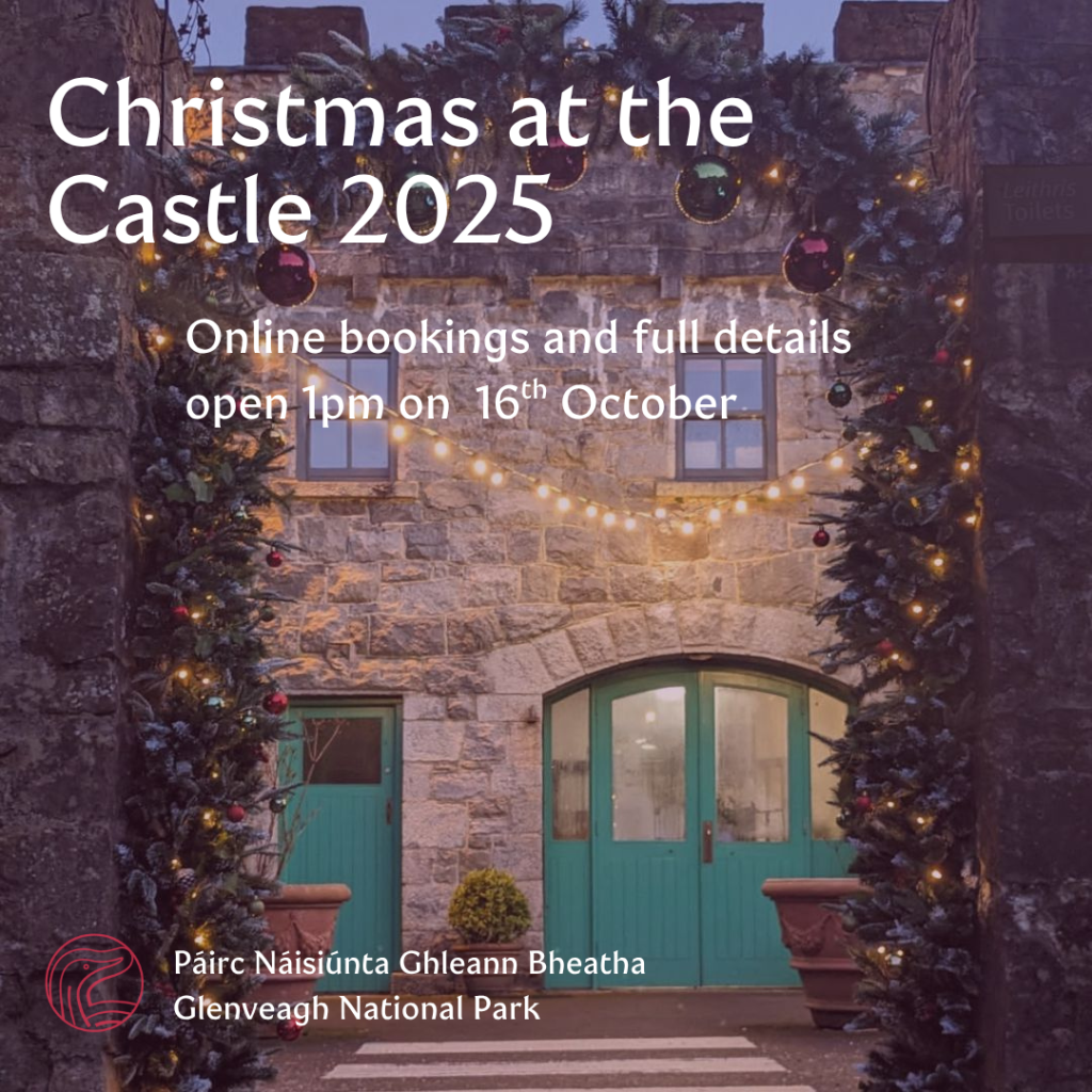 Christmas at the Castle 2025