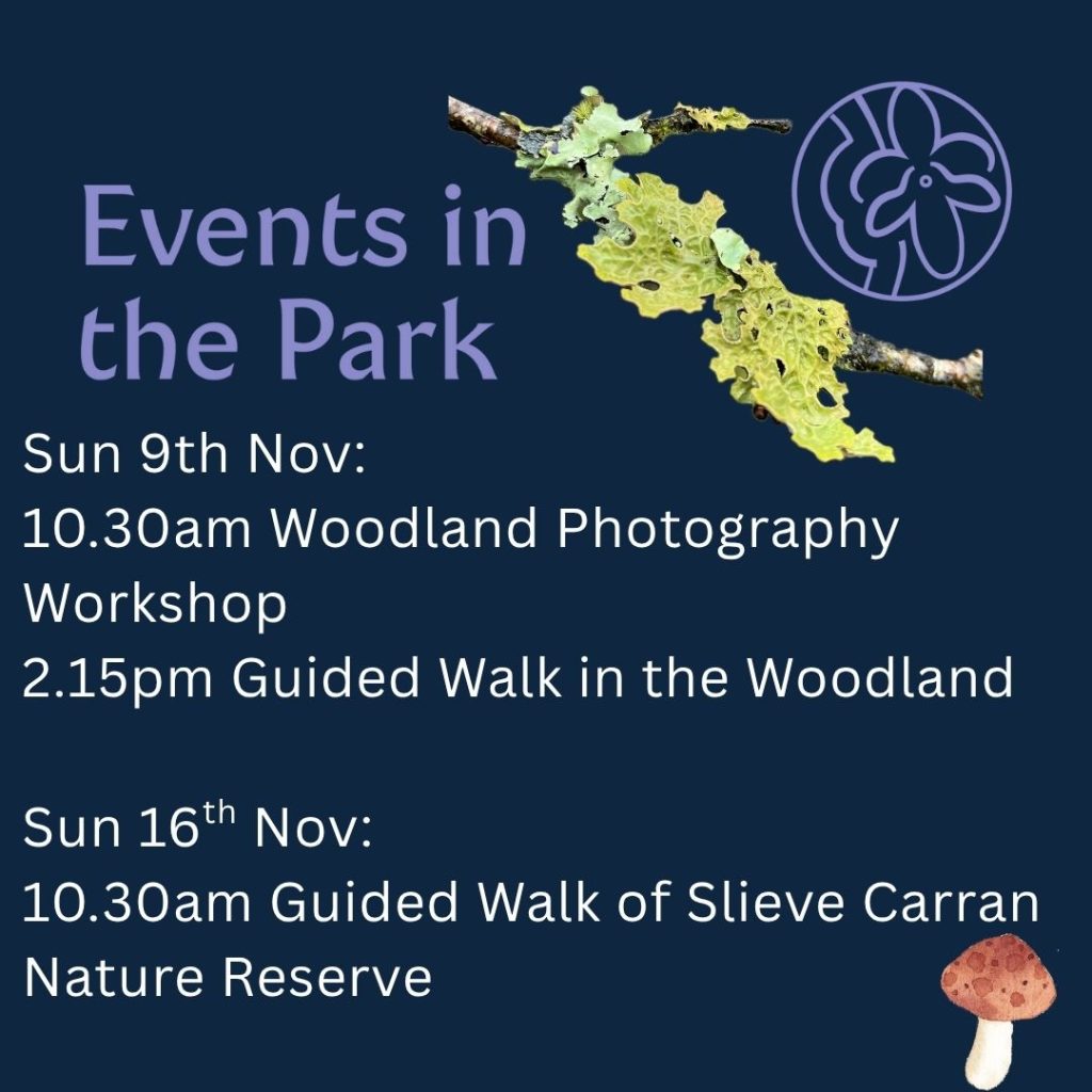 Events in the Burren National Park in November