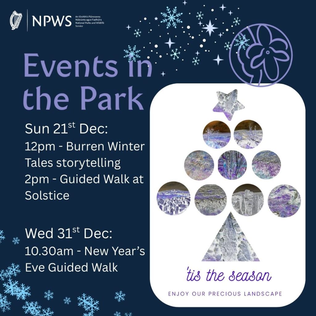 Christmas Events in the Burren National Park