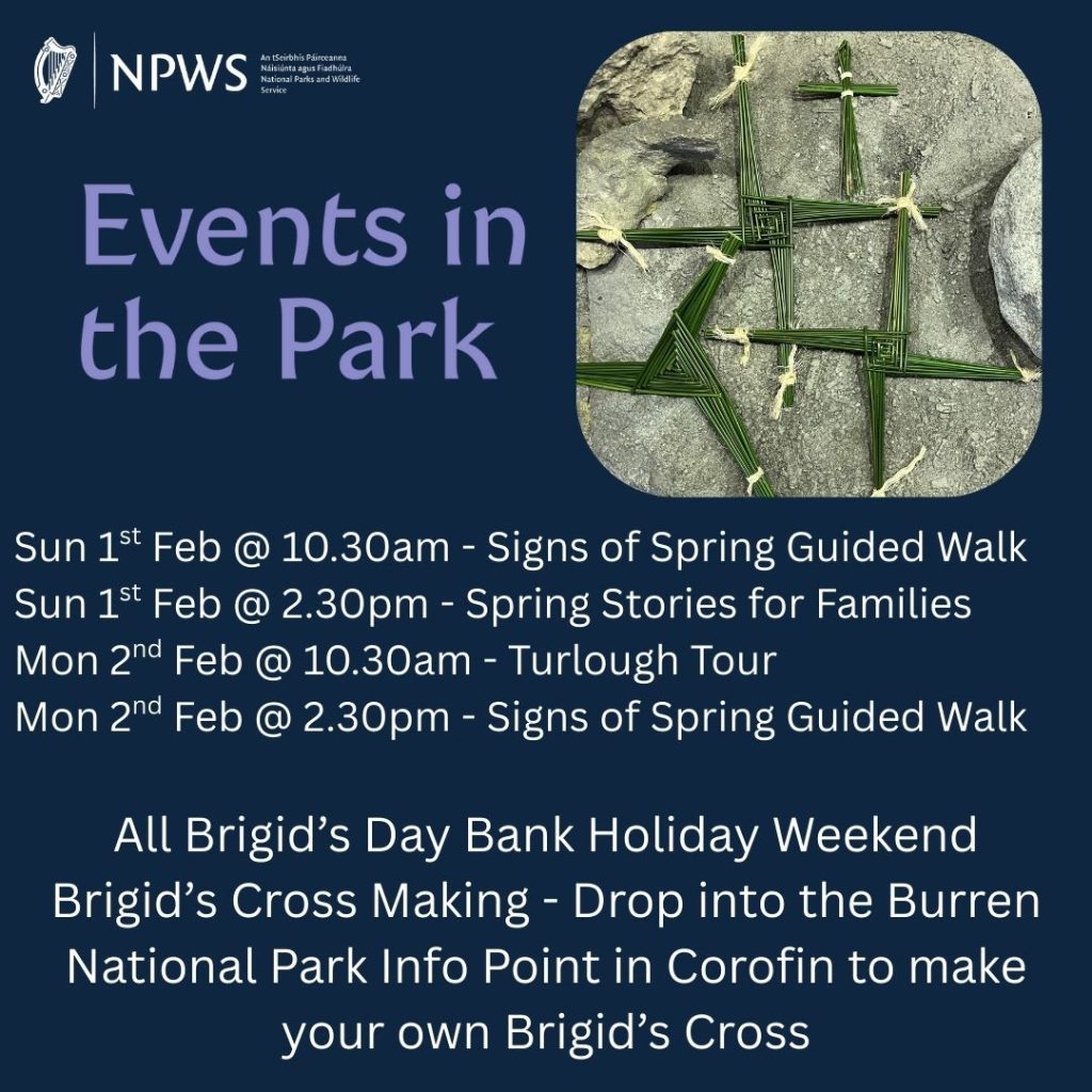 St Brigid's weekend events
