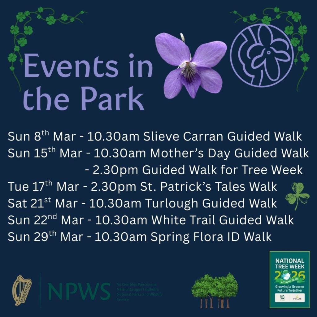 March Events March Events