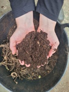 Successful Composting
