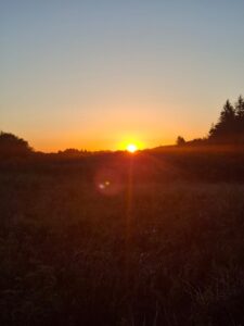 Sunrise Dawn Chorus