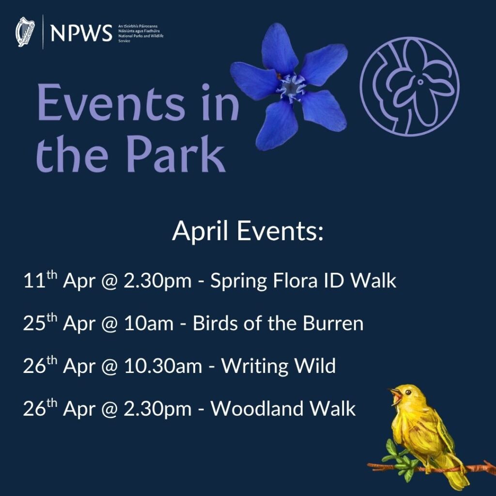 April Events in the Burren National Park