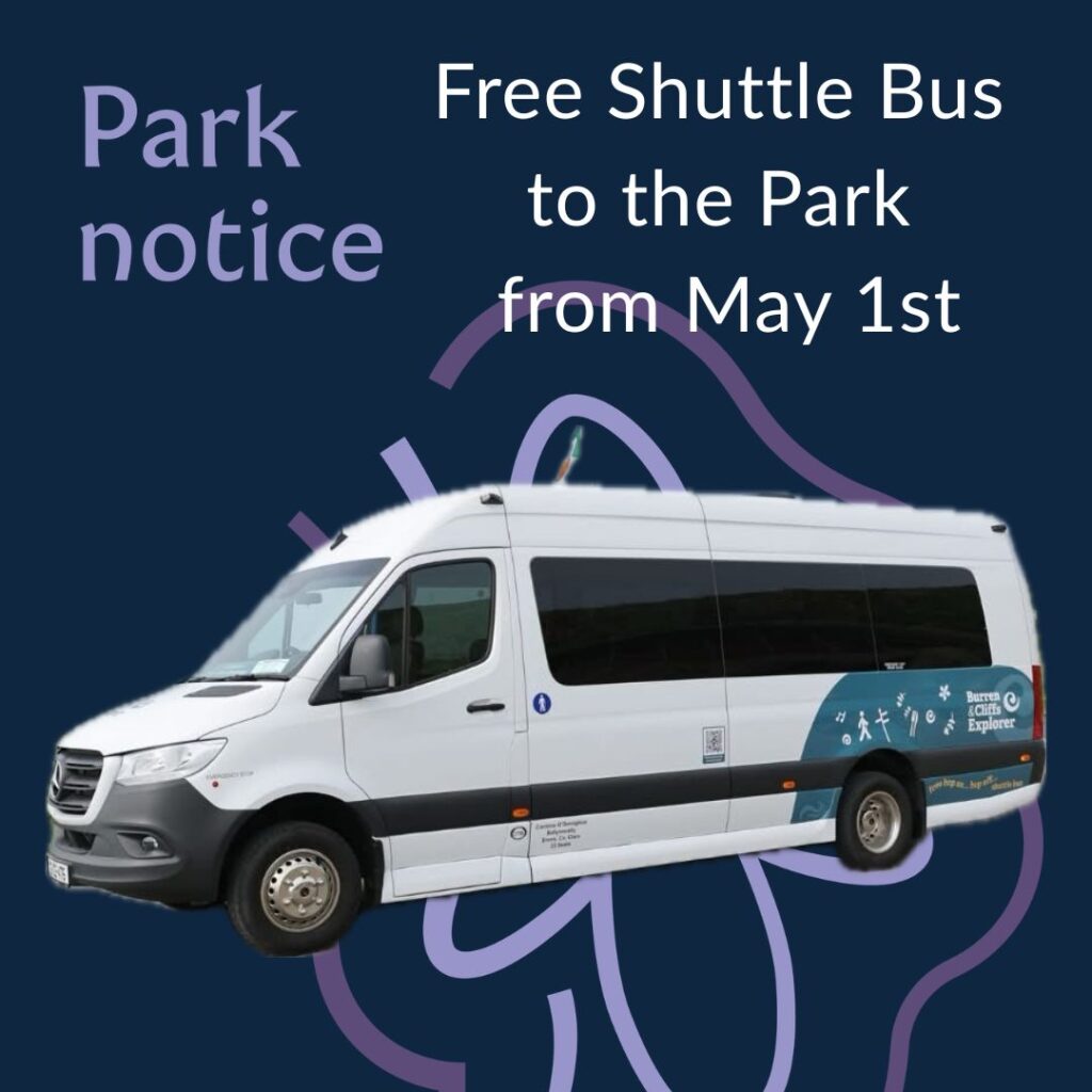 Free shuttle bus