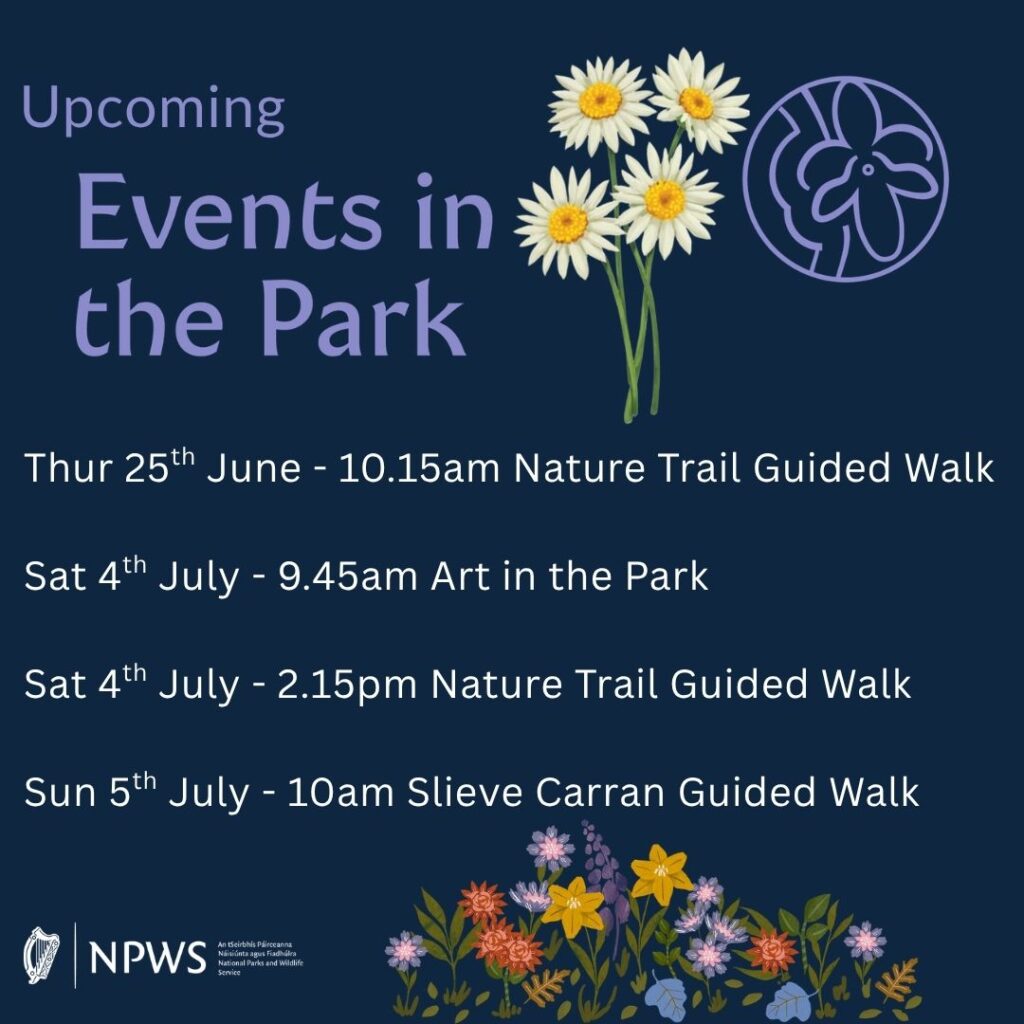 Upcoming events in the Burren National Park
