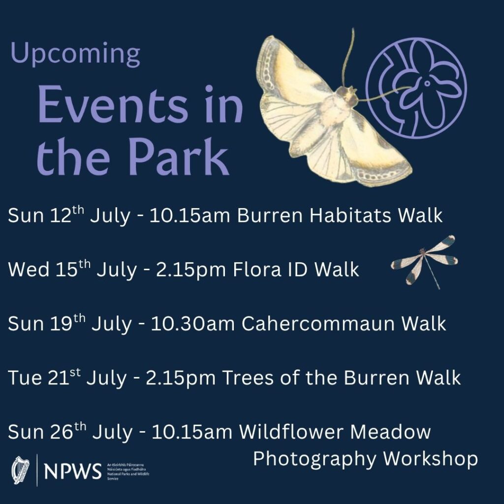 July Events in the Burren National Park
