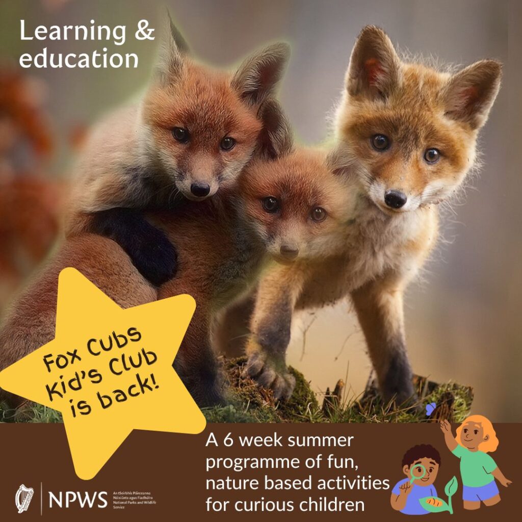 Summer nature education program for kids