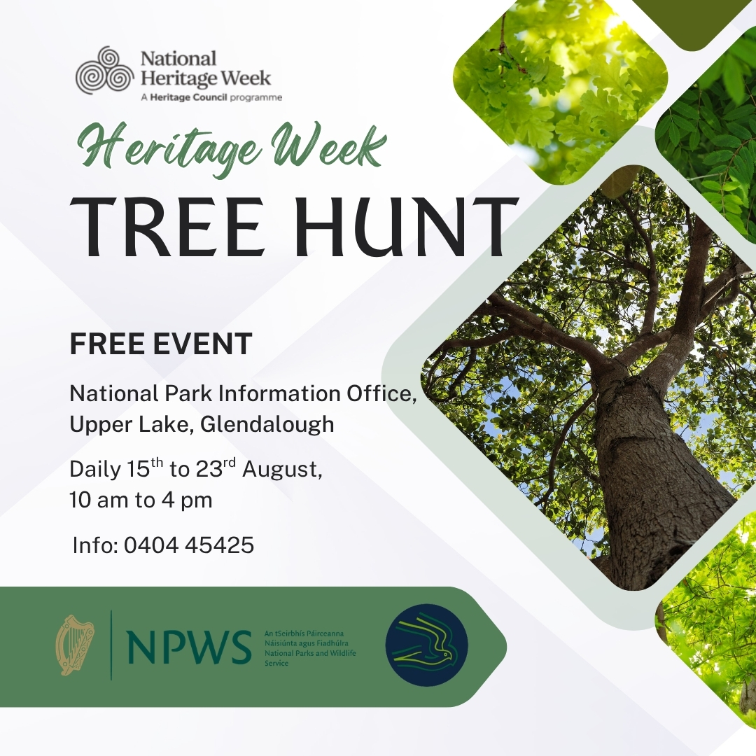 Heritage Week Tree Hunt