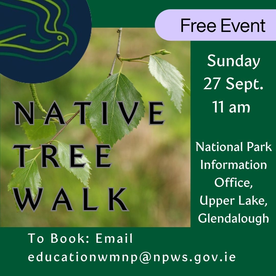Native Tree Walk poster