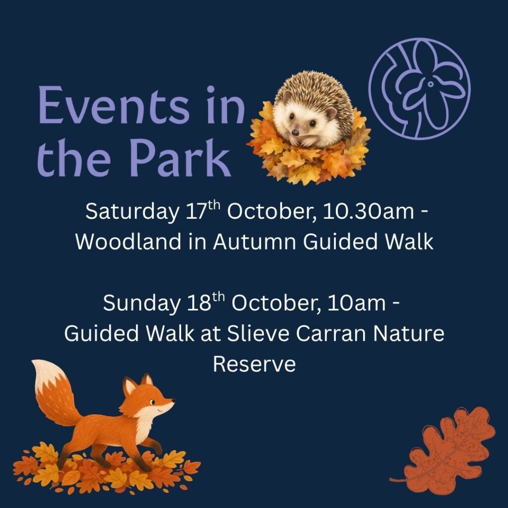October events in the Burren National Park
